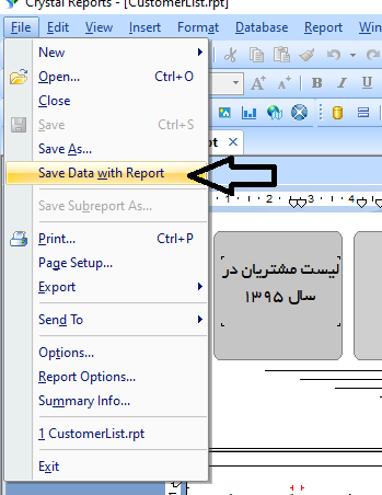 save data with report in crystal report